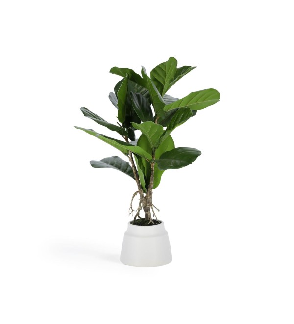 Flower Искусственное растение лирата 60 см