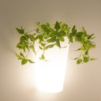 Настенный уличный светильник MANTRA  TEJA 6508