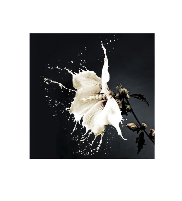 Печатная фотография Splash 100x100