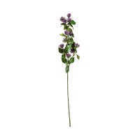 Цветок фиолетового цвета CENTAUREA