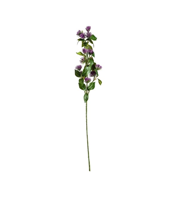 Цветок фиолетового цвета CENTAUREA