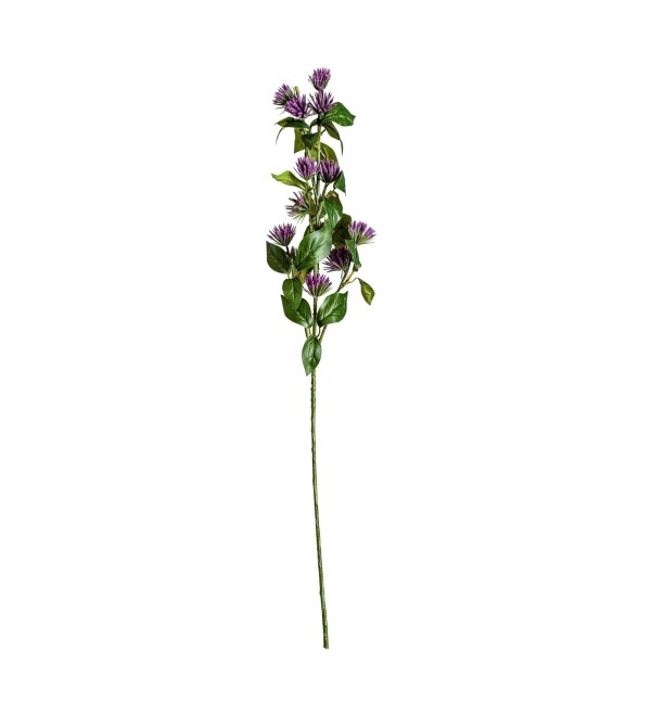 Цветок фиолетового цвета CENTAUREA