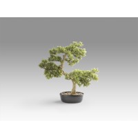 Bankan - bonsai 75cm Искусственное растение
