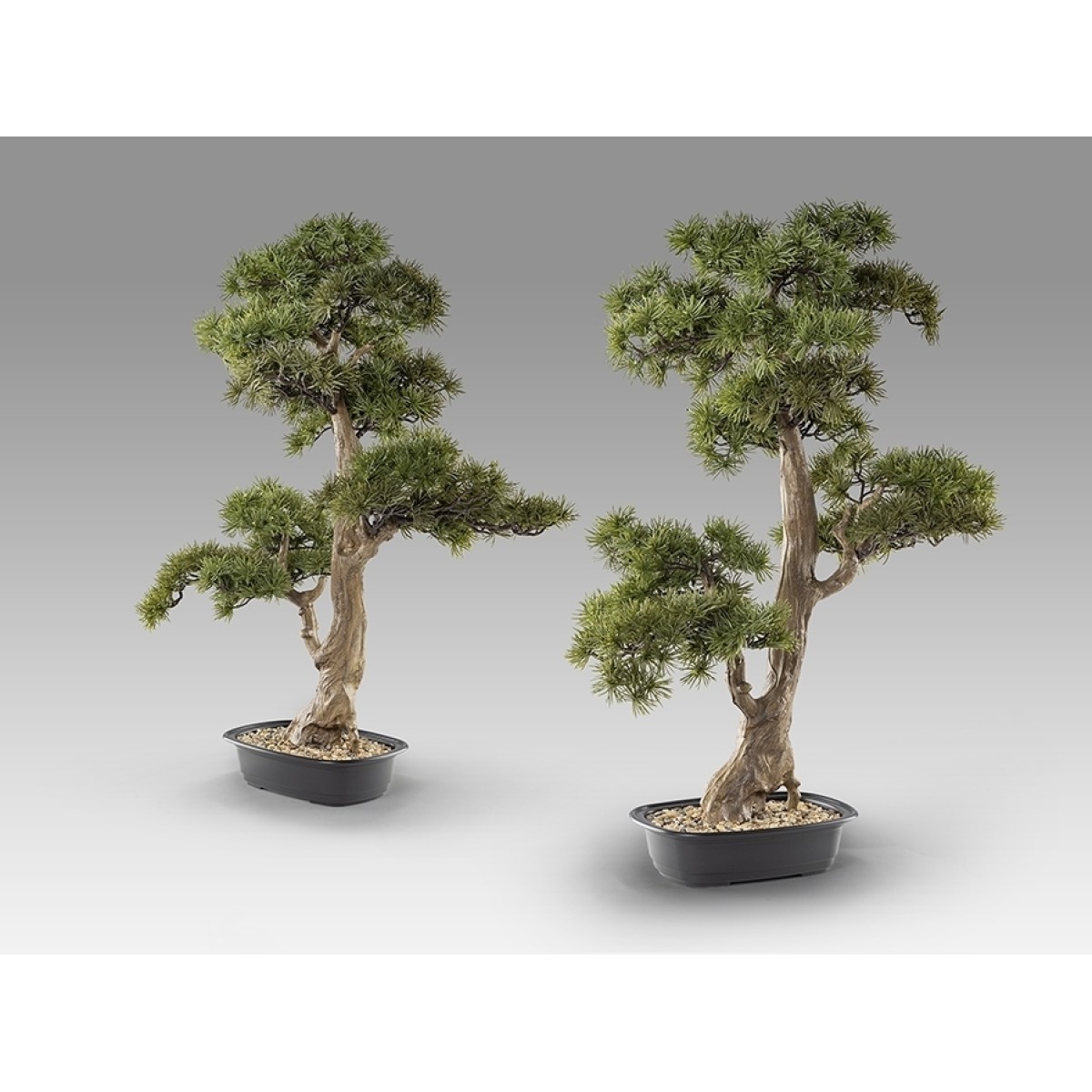 Chokkan - bonsai 83cm Искусственное растение из 2 предметов