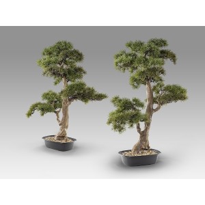 Chokkan - bonsai 83cm Искусственное растение из 2 предметов