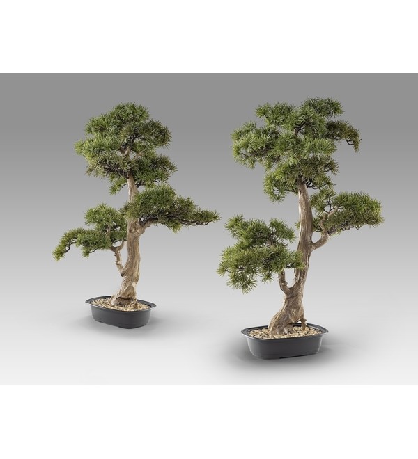 Chokkan - bonsai 83cm Искусственное растение из 2 предметов