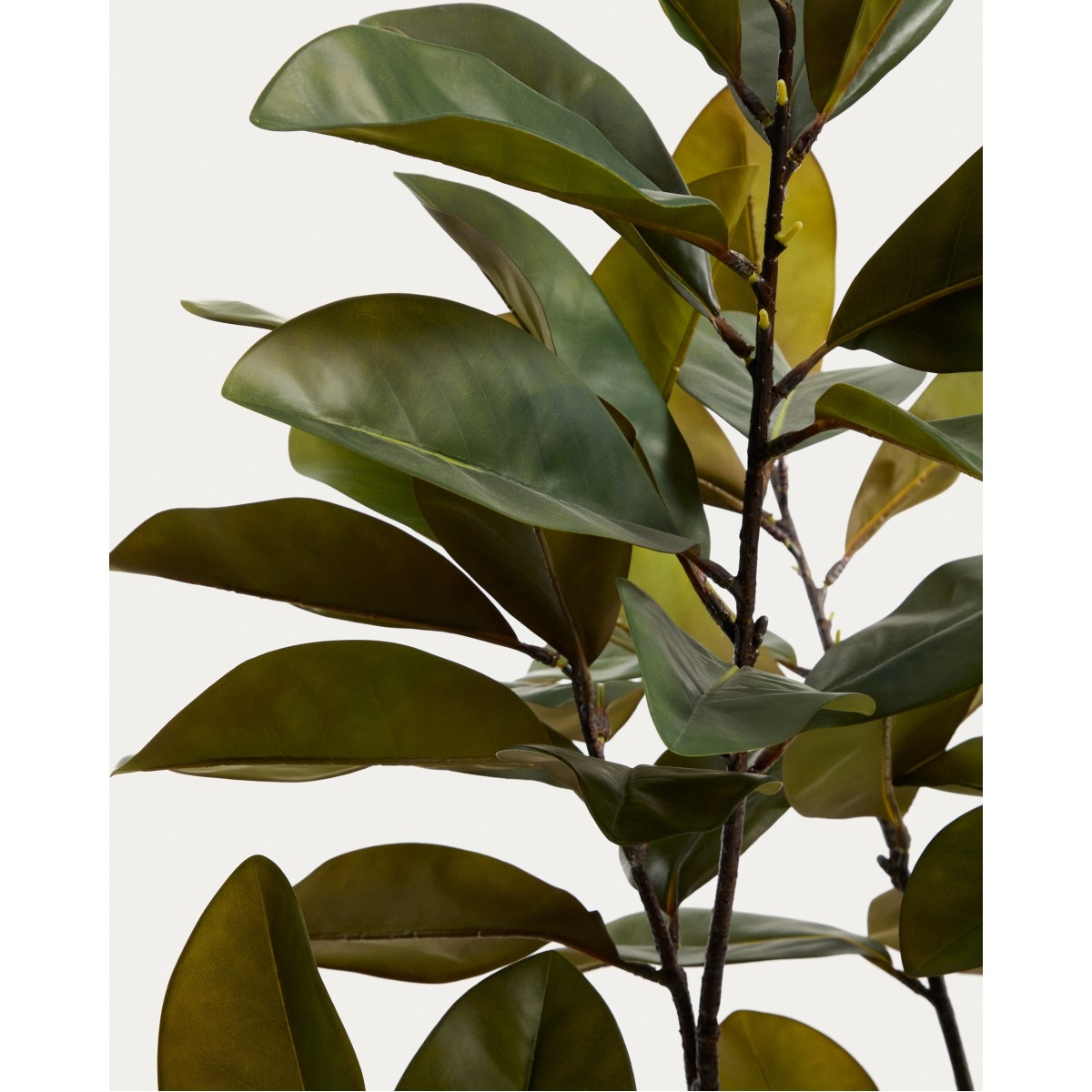 Искусственное растение Magnolia в белом горшке, 160 см