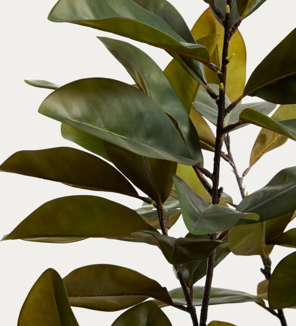 Искусственное растение Magnolia в белом горшке, 160 см
