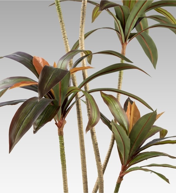Dracena roja Искусственное растение H220