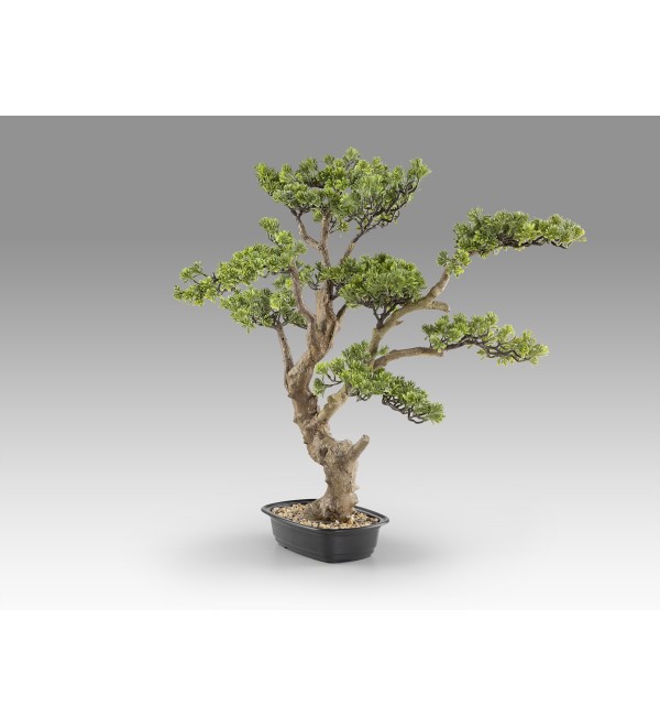 Sokan - bonsai 81cm Искусственное растение