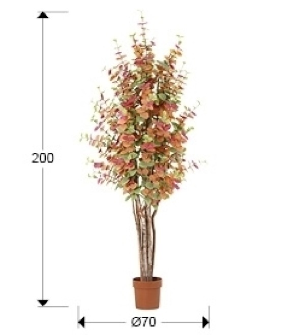 Eucalipto color h200 Искусственное растение набор из 2 шт