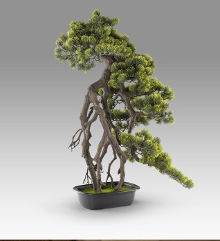 Kengai bonsai 74CM Искусственное растение