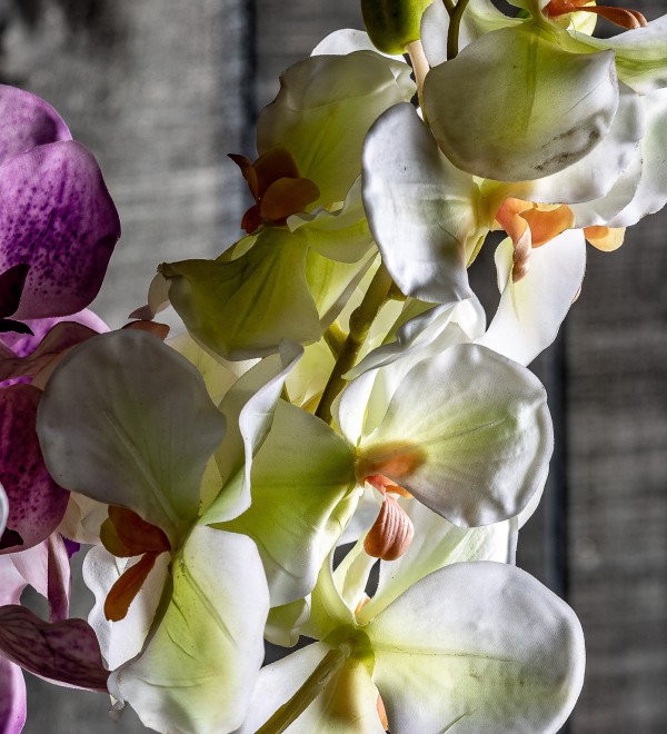 Цветок фиолетового цвета ORQUÍDEA