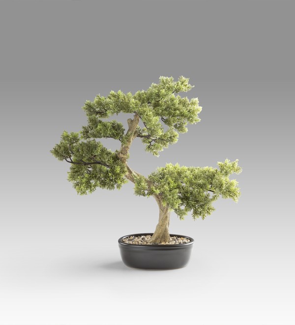 Bankan - bonsai 75cm Искусственное растение из 2 предметов