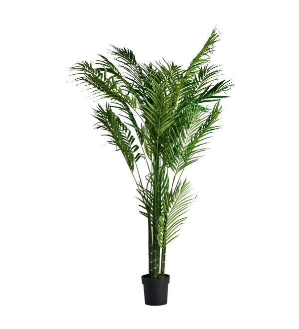 Пальмовое растение искусственное PALMERA