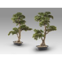 Chokkan - bonsai 83cm Искусственное растение из 2 предметов