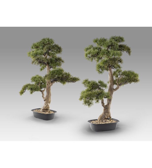 Chokkan - bonsai 83cm Искусственное растение из 2 предметов