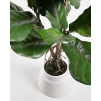 Flower Искусственное растение лирата 60 см