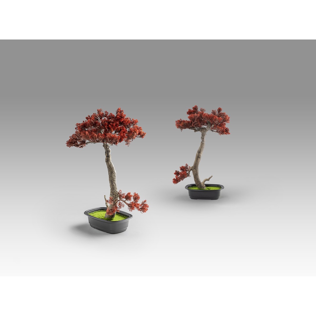 Bujin-hi bonsai 45cm набор из 2 предметов