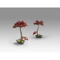 Bujin-hi bonsai 45cm набор из 2 предметов
