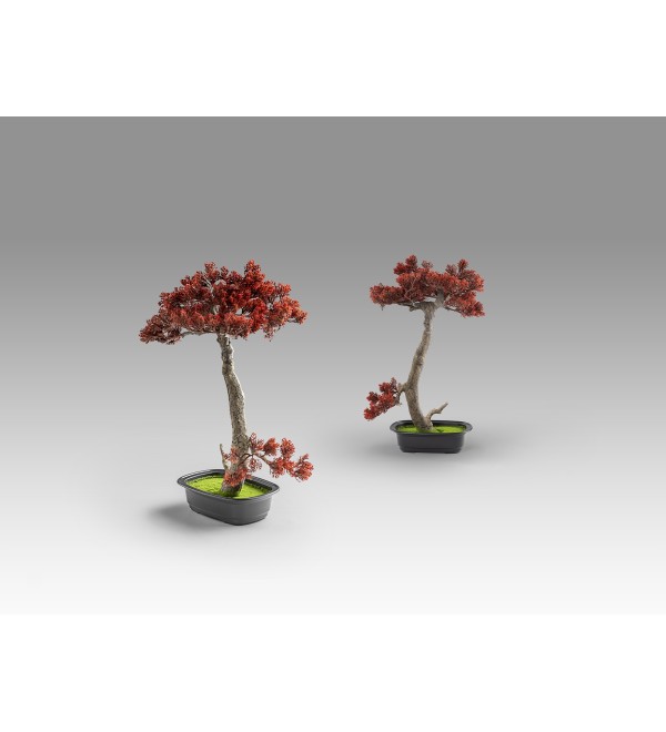 Bujin-hi bonsai 45cm набор из 2 предметов