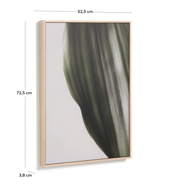 Фотография листа Foliae размер 52 x 72 см