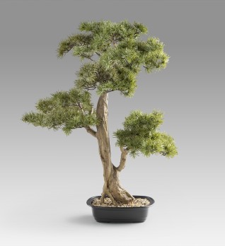 Chokkan - bonsai 83cm Искусственное растение