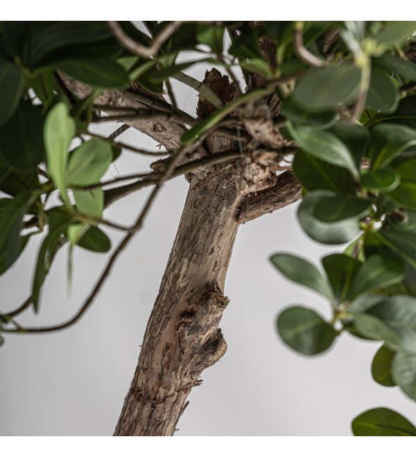 Искусственное растение FICUS 38081