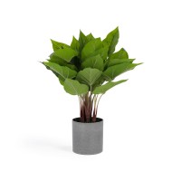 Flower Искусственный антуриум 45 см