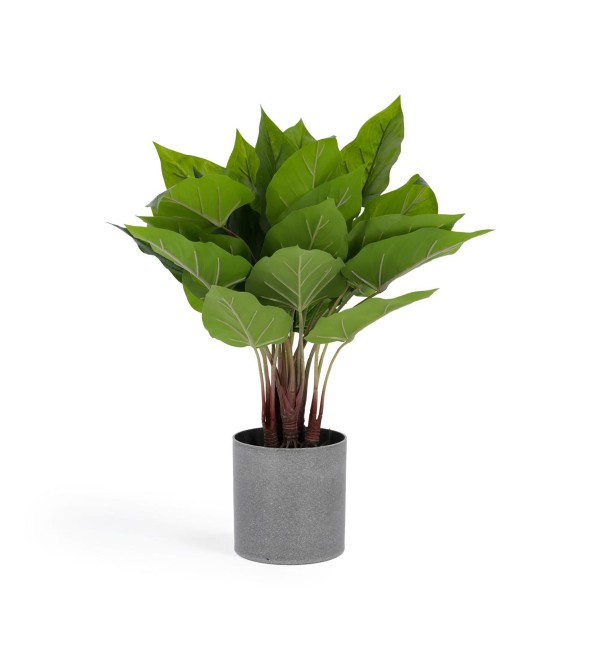 Flower Искусственный антуриум 45 см