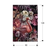 Фотография Flamenco 80x120