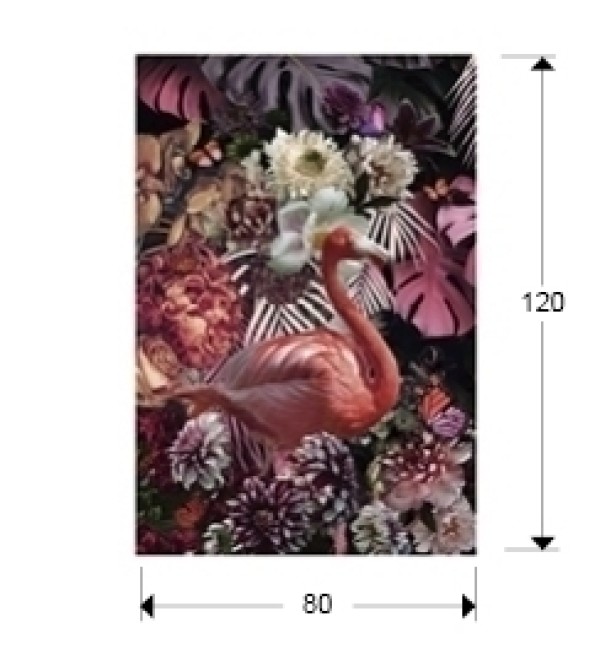 Фотография Flamenco 80x120