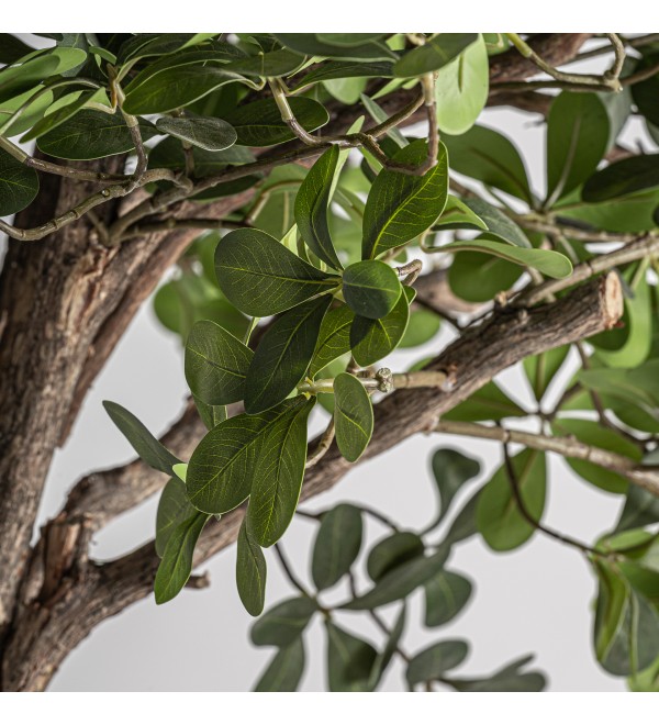 Искусственное растение FICUS 38083
