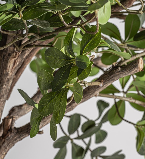 Искусственное растение FICUS 38083