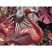 Фотография Flamenco 80x120