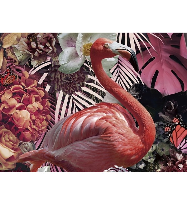 Фотография Flamenco 80x120