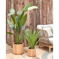Flower Искусственная юкка 70см