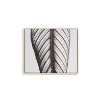 Фотография листа Foliae размер 52,5 x 62,5 см
