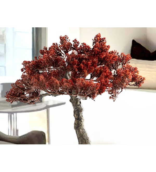 Bujin-hi bonsai 45cm набор из 2 предметов