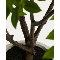 Искусственное дерево Rhus в белом горшке, 185 см