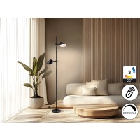 Esino Торшер 2L черный