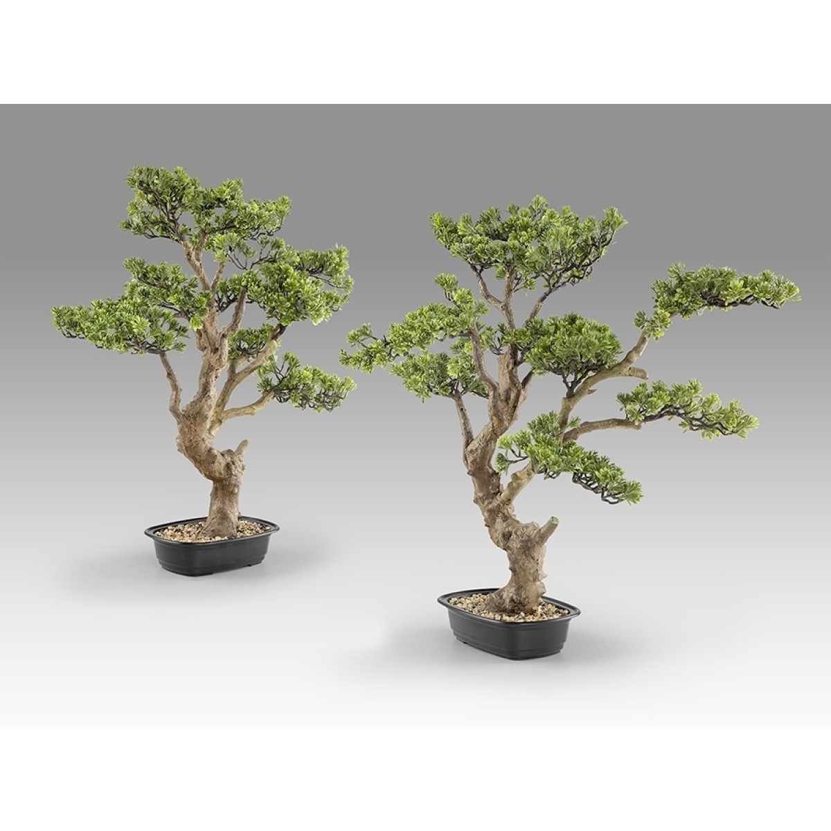 Sokan - bonsai 81cm Искусственное растение из 2 предметов