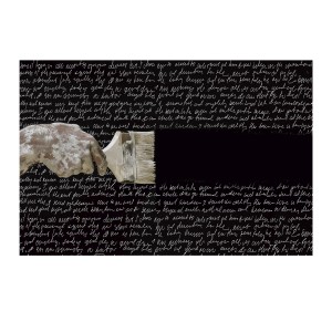 Фотография Poesia 180x120
