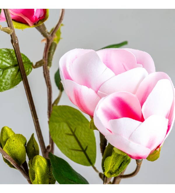 Цветок MAGNOLIA
