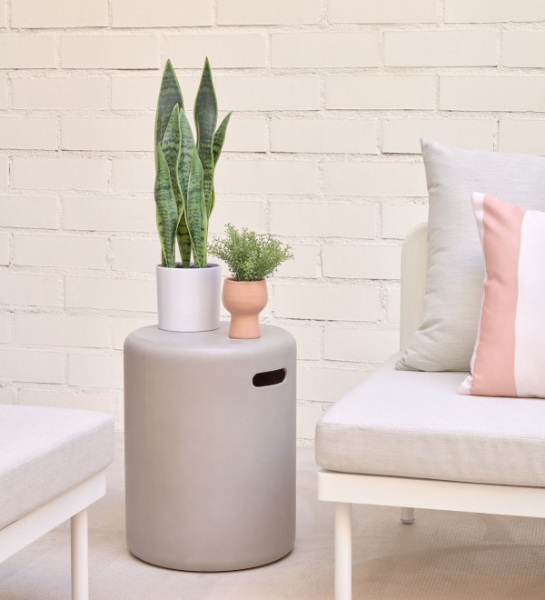Искусственное растение Sansevieria с белым горшком 55 см