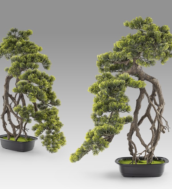 Kengai bonsai 74см Искусственное растение из 2 предметов