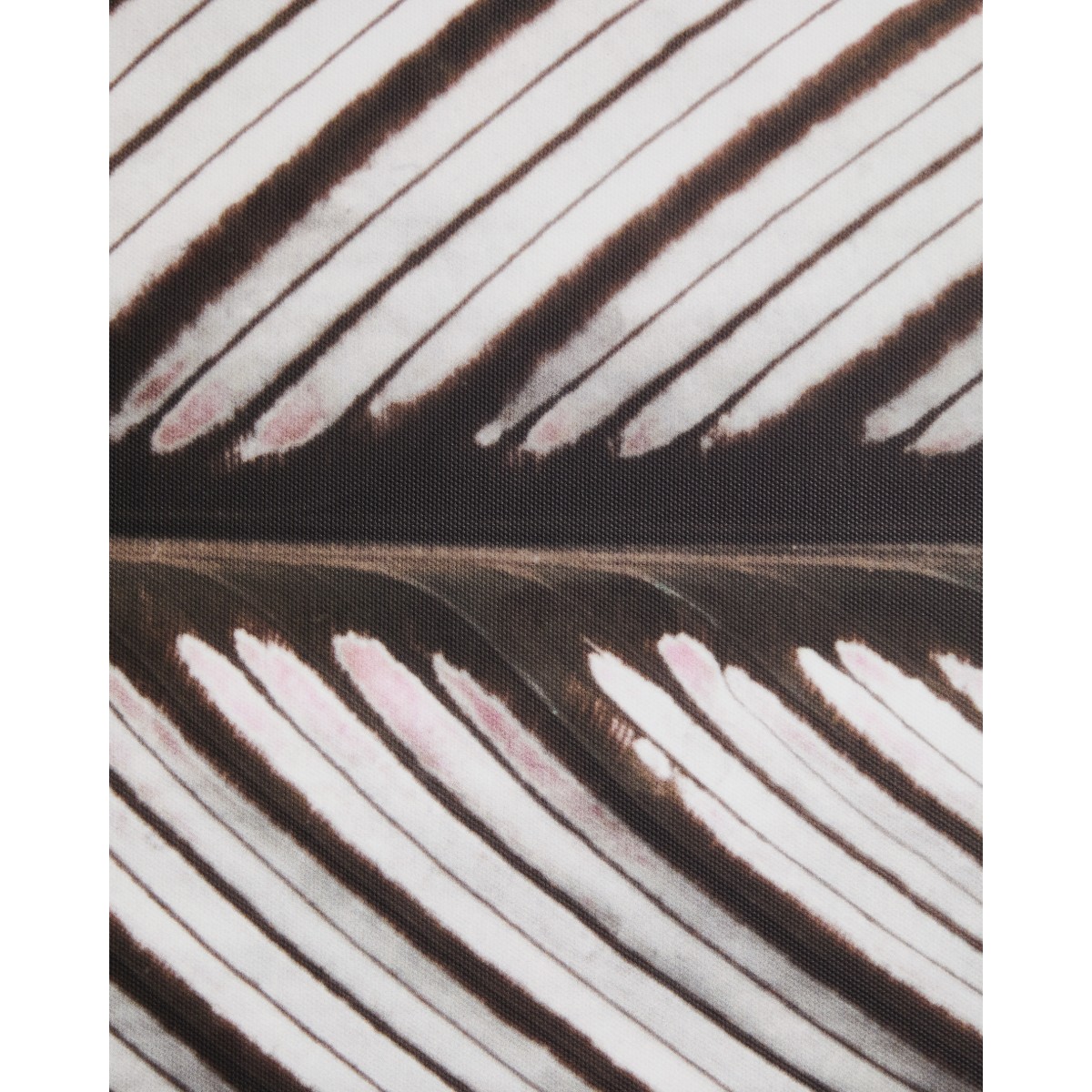 Фотография листа Foliae размер 52,5 x 62,5 см