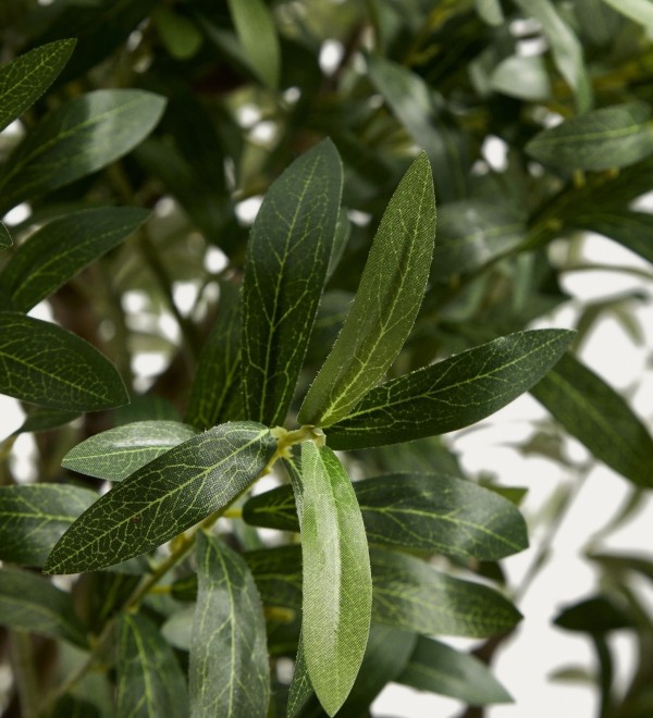 Искусственное дерево Artificial Olive в белом горшке, 210 см