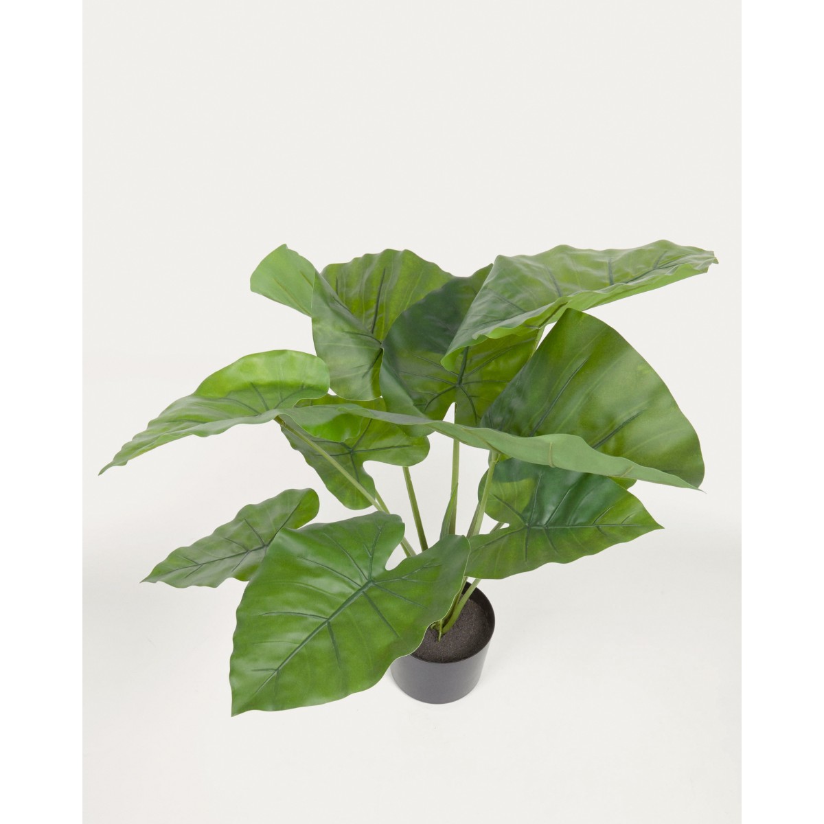 Искусственное растение Alocasia пахучая с черным горшком 57 см