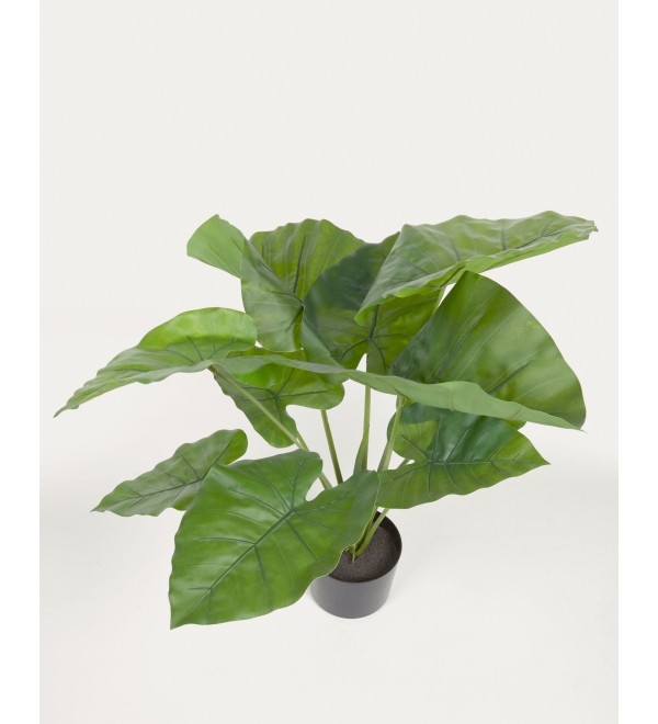 Искусственное растение Alocasia пахучая с черным горшком 57 см